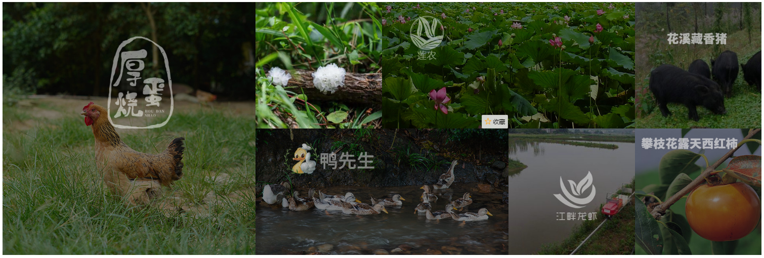 現代農業物聯網數字化高標準農田建設