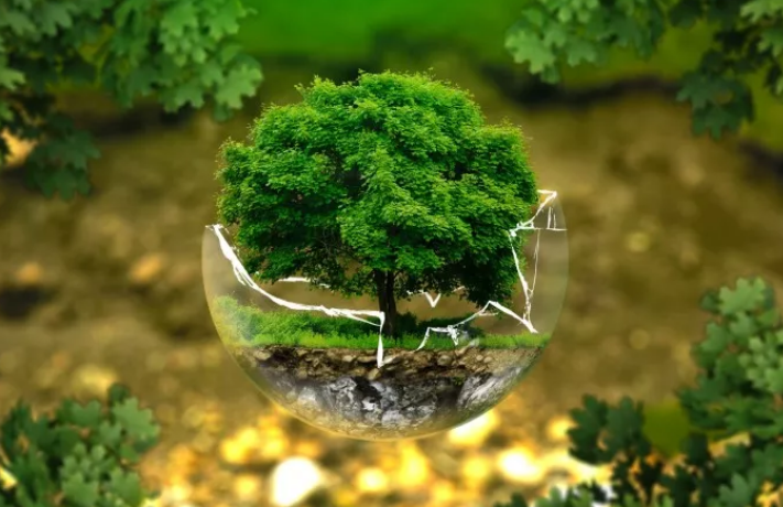 智慧農業助力鄉村振興