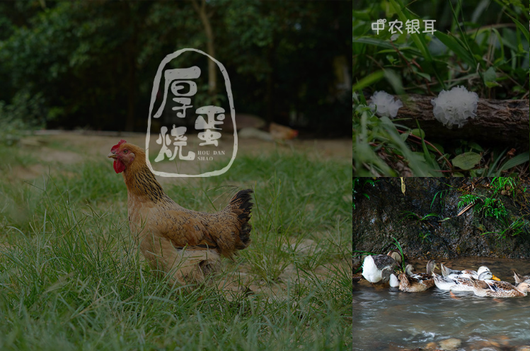 物聯(lián)網(wǎng)可以解決農(nóng)業(yè)的哪些問題？