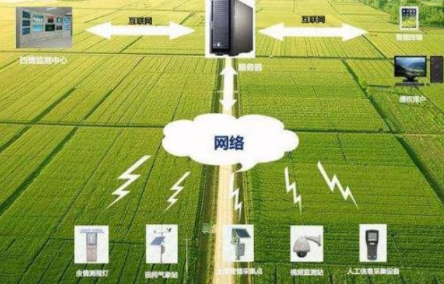 農業可視化管理實現智能植物工廠