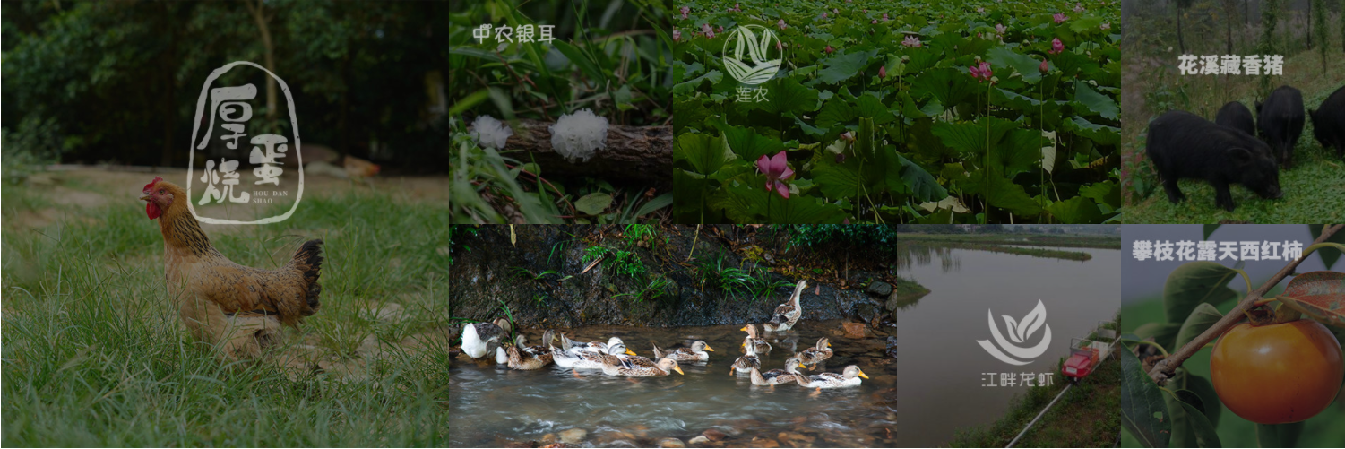 智慧農(nóng)業(yè)的發(fā)展前景