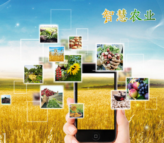 智慧農業闡述資源如何高效利用