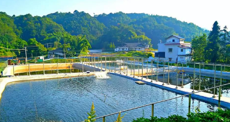 水產養殖監控系統如何監測水域環境