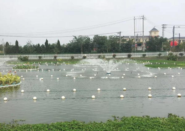 物聯網監控技及自動投餌技術的運用
