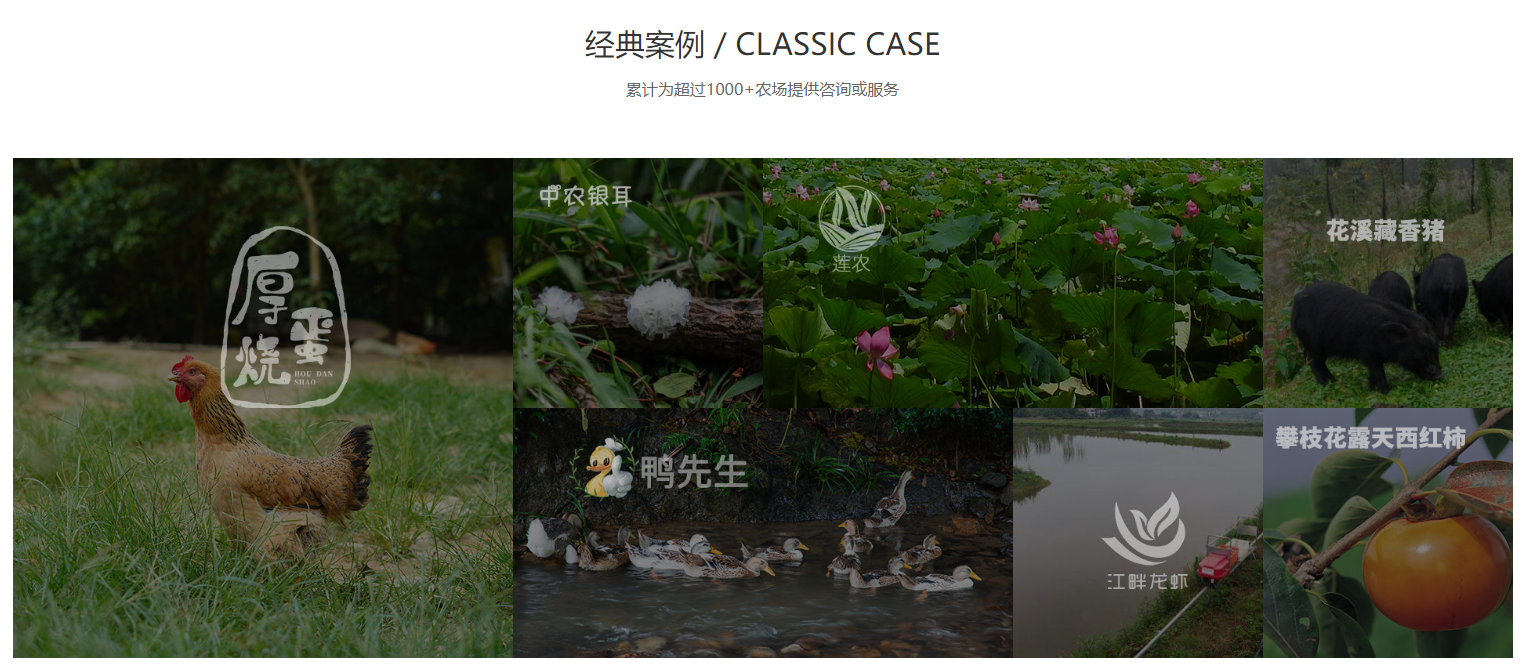 現代農業智能化管理